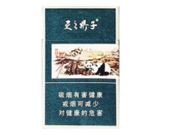 外烟细支铁塔猫